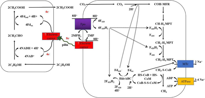 FIGURE 3