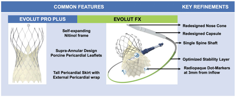 Novel features in the Evolut Pro Plus versus the Evolut FX transcatheter heart valves.