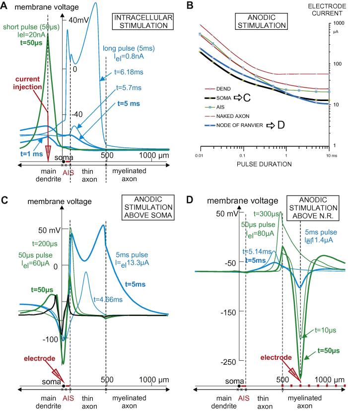 Fig. 10