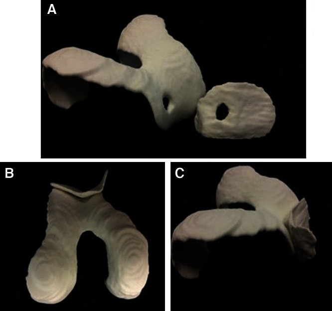 Fig. 7