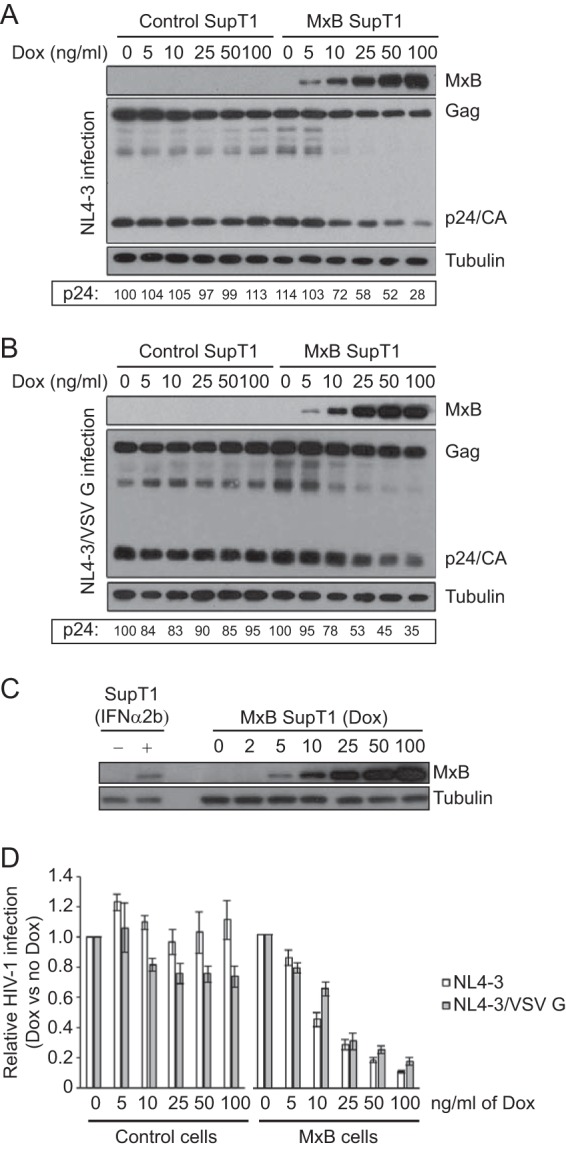 FIG 5