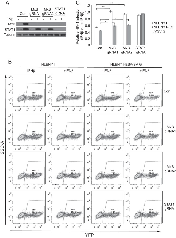 FIG 4