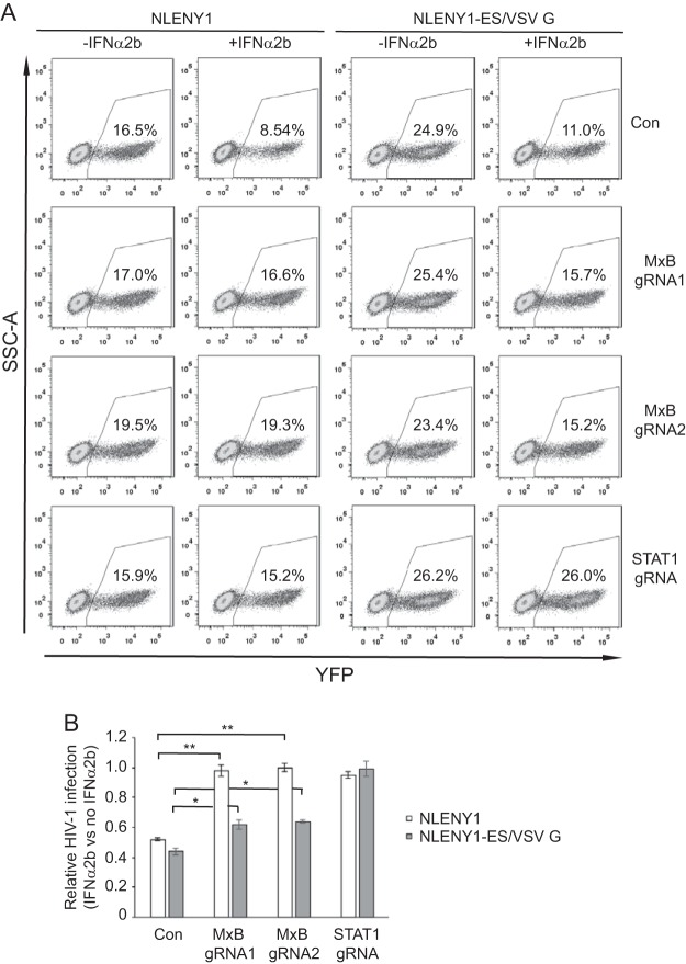 FIG 3