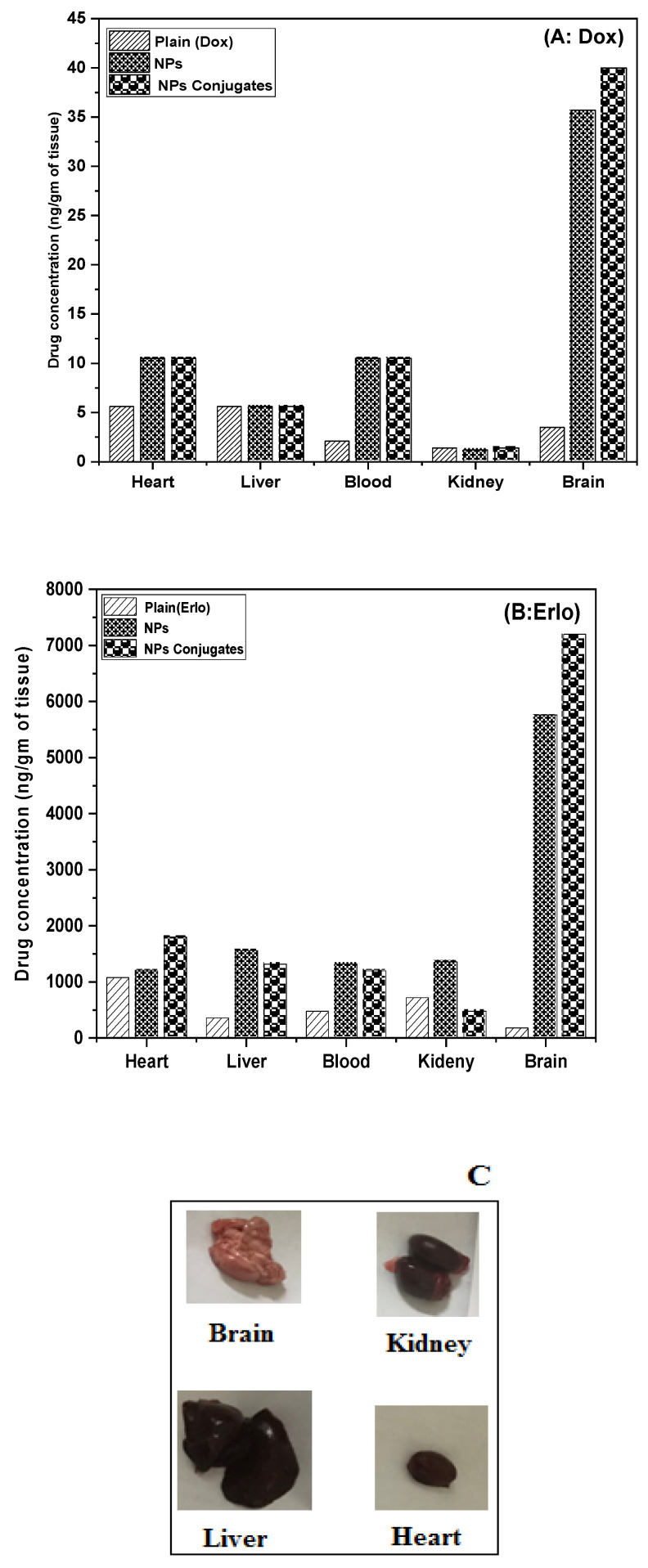 Figure 11