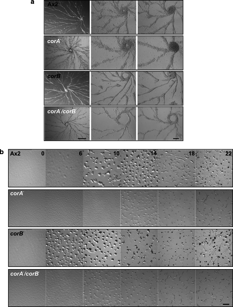 Fig. 6