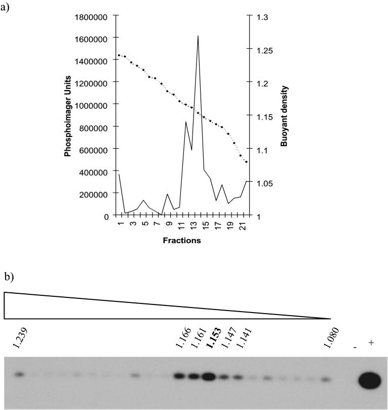 FIG. 6