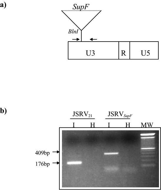 FIG. 8