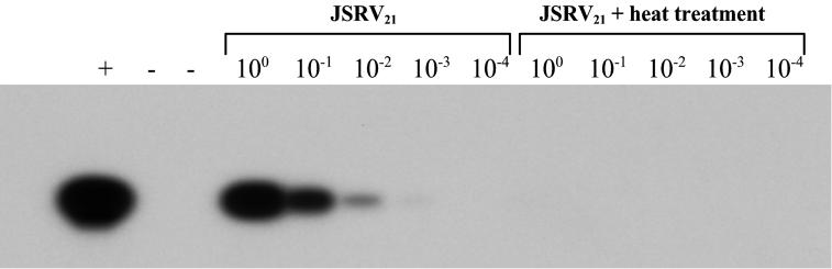 FIG. 5