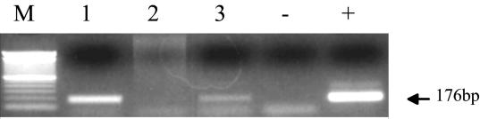 FIG. 7