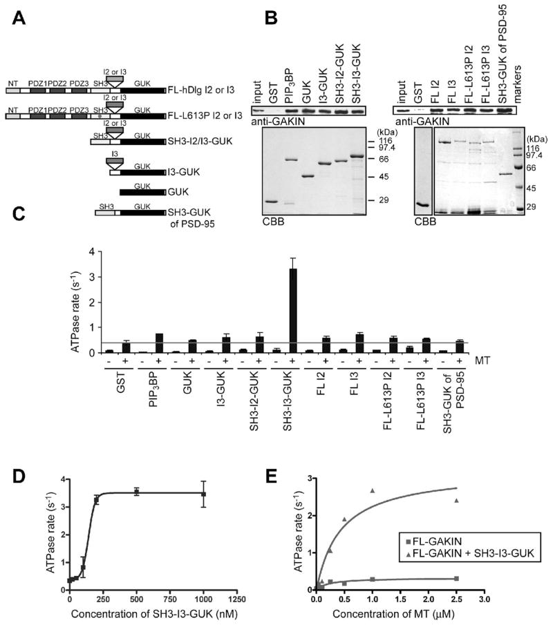 FIGURE 3