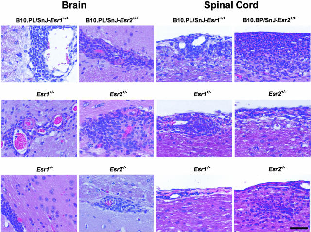 Figure 4-4129