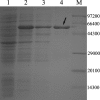 FIG. 3.