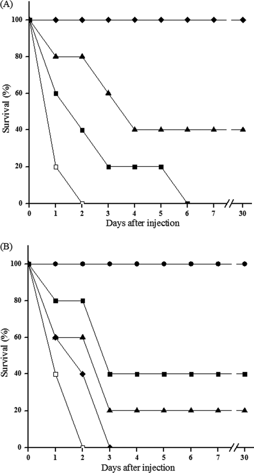 FIG. 6.