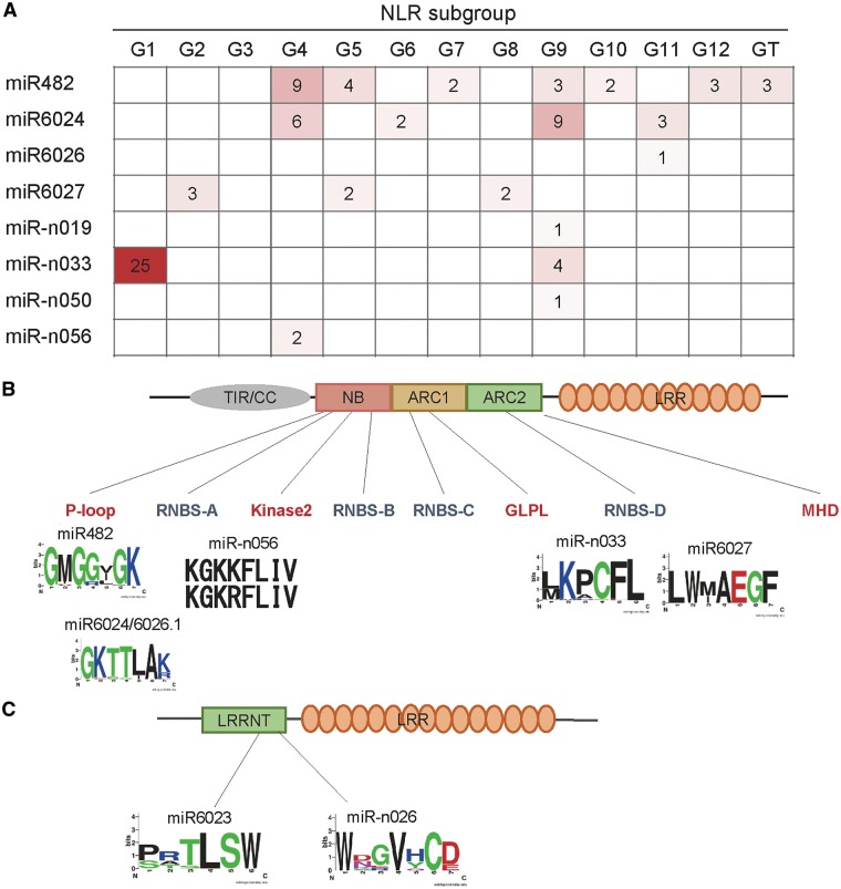 Figure 5.