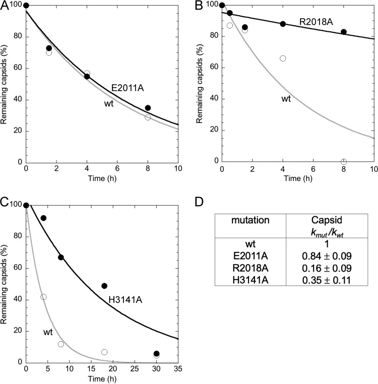 FIG 4