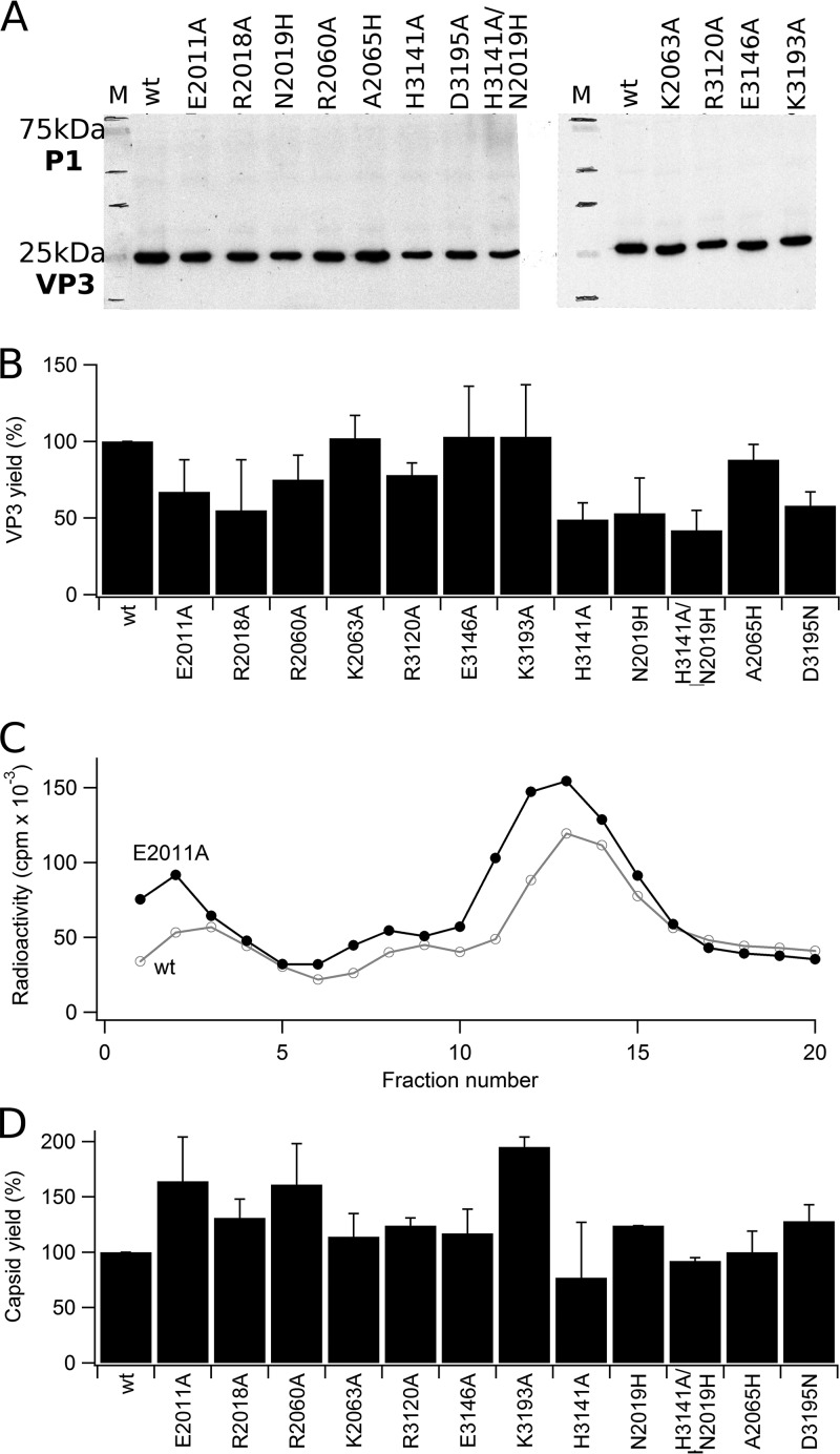 FIG 2