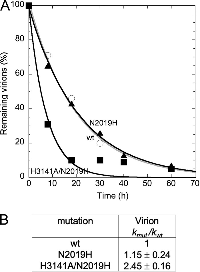 FIG 7