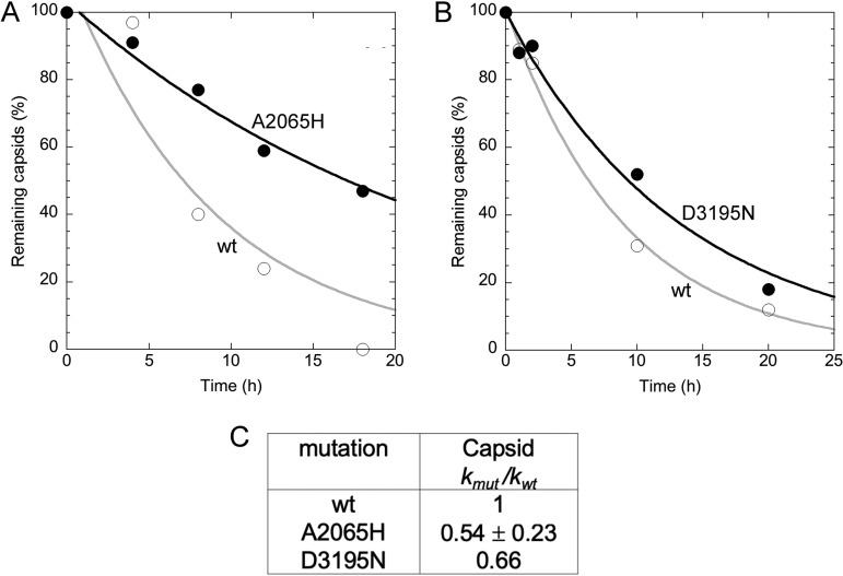 FIG 8