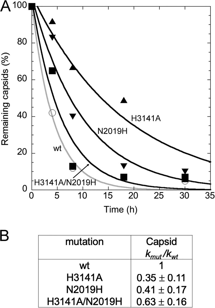 FIG 6