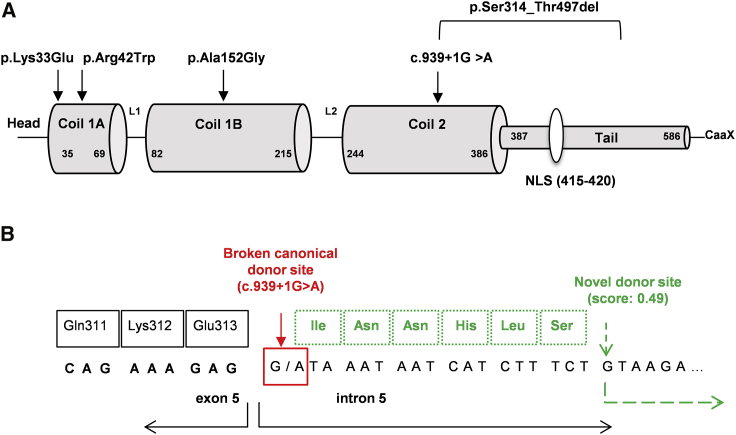 Figure 2