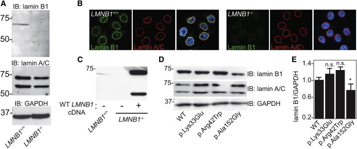 Figure 3