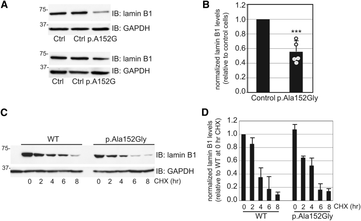 Figure 6