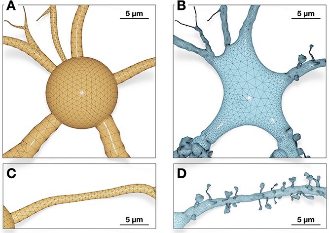 Figure 13