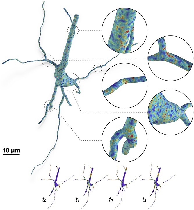 Figure 12