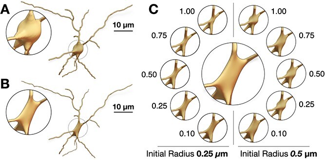 Figure 4