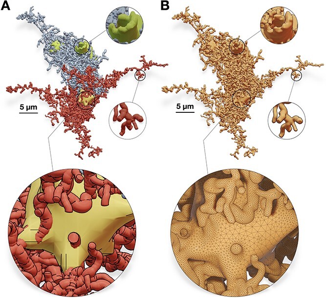 Figure 11