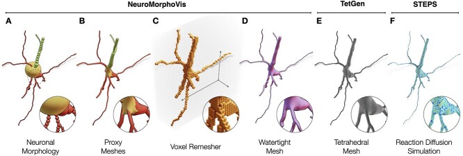 Figure 2