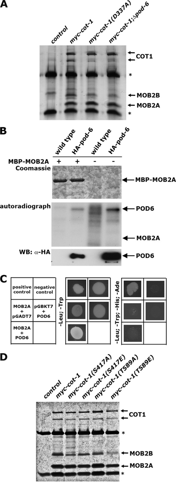 Fig 4