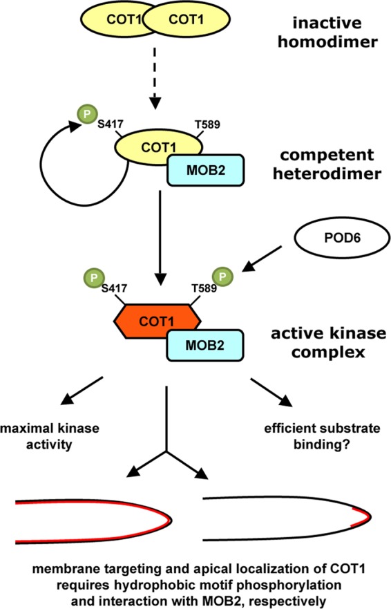 Fig 8