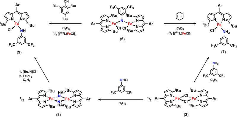 Scheme 6