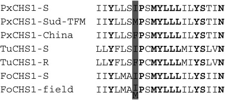 Fig. 2. Aligned amino acid sequences of helix 5 in the C-terminal 5 transmembrane segments of CHS1. The positions of the I1017F substitution in etoxazole-resistant Tetranychus urticae18) and I1042M/F in benzoylurea-resistant Plutella xylostella19) are indicated in gray. Conserved amino acid residues are shown in bold letters. PxCHS1-S, P. xylostella CHS1 of the susceptible strain BCS-S (DDBJ/EMBL/GenBank accession number API61825); PxCHS1-Sud-TFM, P. xylostella CHS1 of the resistant strain Sud-TFM (API61827); PxCHS1-China, P. xylostella CHS1 of the resistant strain China19); TuCHS1-S, T. urticae CHS1 of the etoxazole-susceptible strain GSS (AFG28413); TuCHS1-R, T. urticae CHS1 of the etoxazole-resistant strain EtoxR (AFG28419); FoCHS1-S, Frankliniella occidentalis CHS1 of the susceptible strain H-1; FoCHS1-field, F. occidentalis CHS1 of field strains BO-1, BO-2, TO-1, and YH-1.