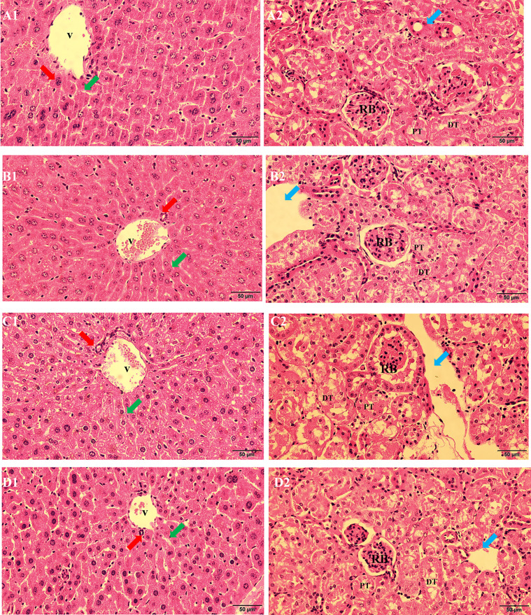 Fig. 6.