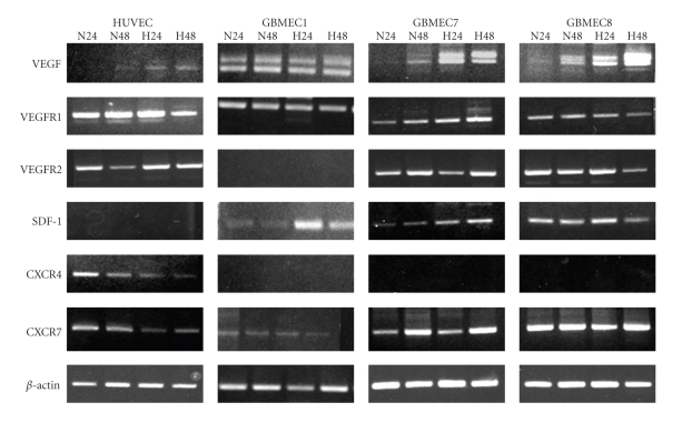 Figure 16