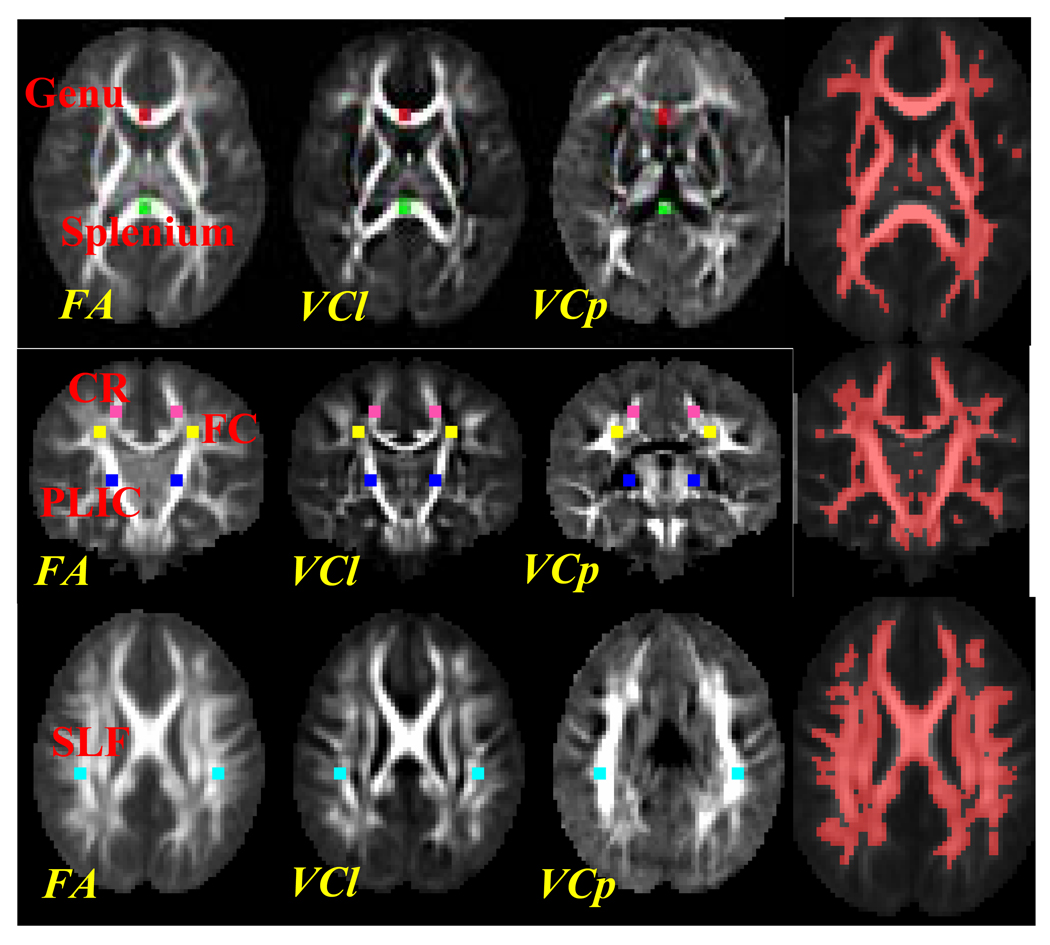 Fig. 6