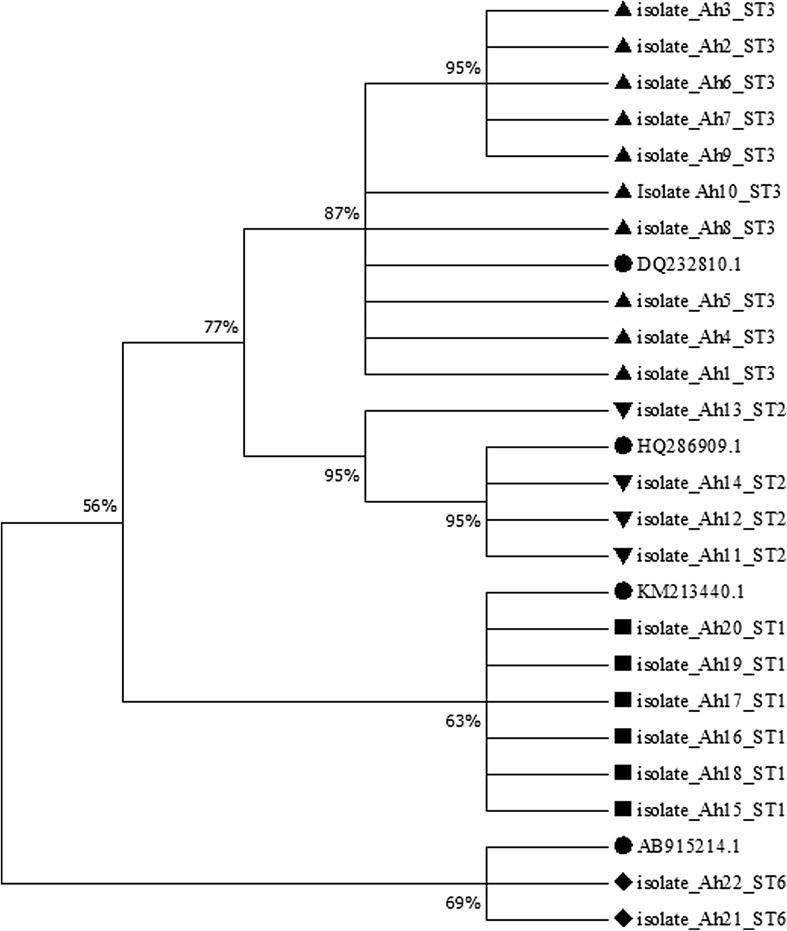 Fig. 3