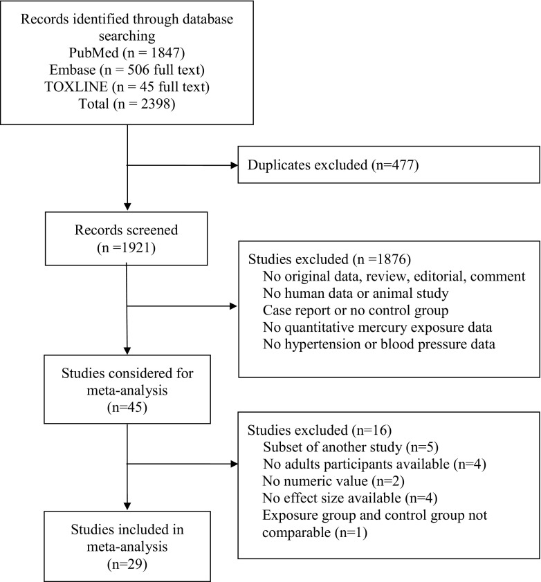 Flow diagram illustrating the selection of studies