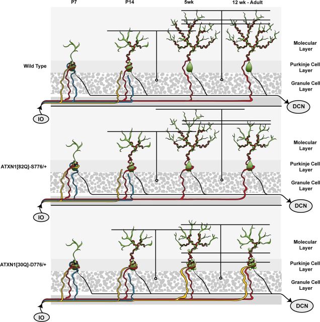 Figure 9.