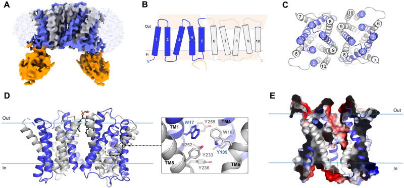 Fig. 3.