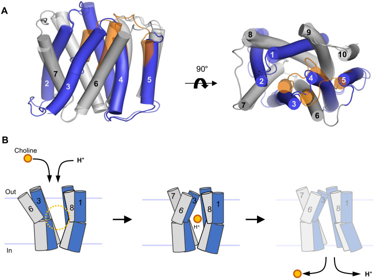 Fig. 5.