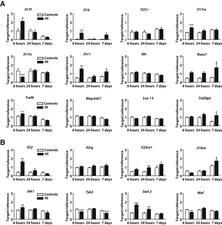 Figure 3