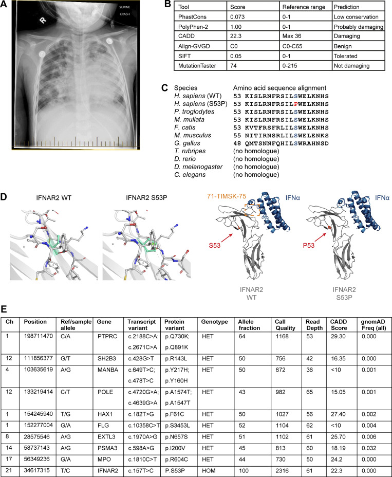 Figure S1.