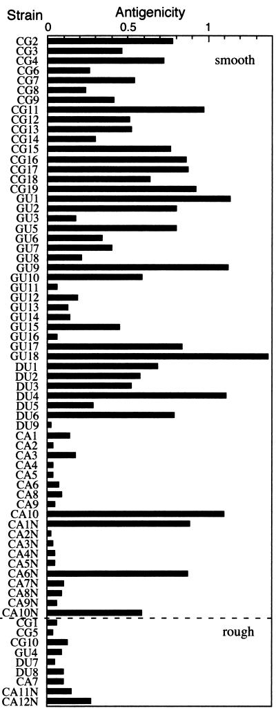 FIG. 1