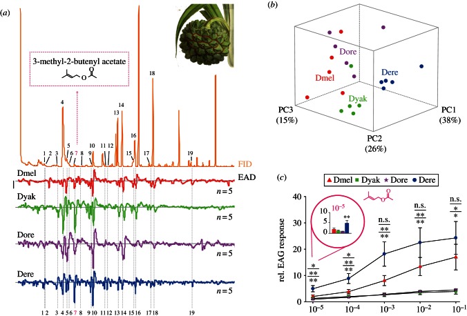 Figure 2.