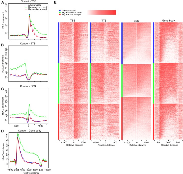 Figure 4.