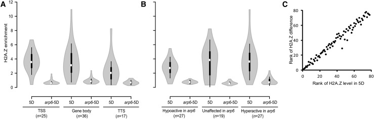 Figure 6.