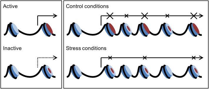 Figure 7.